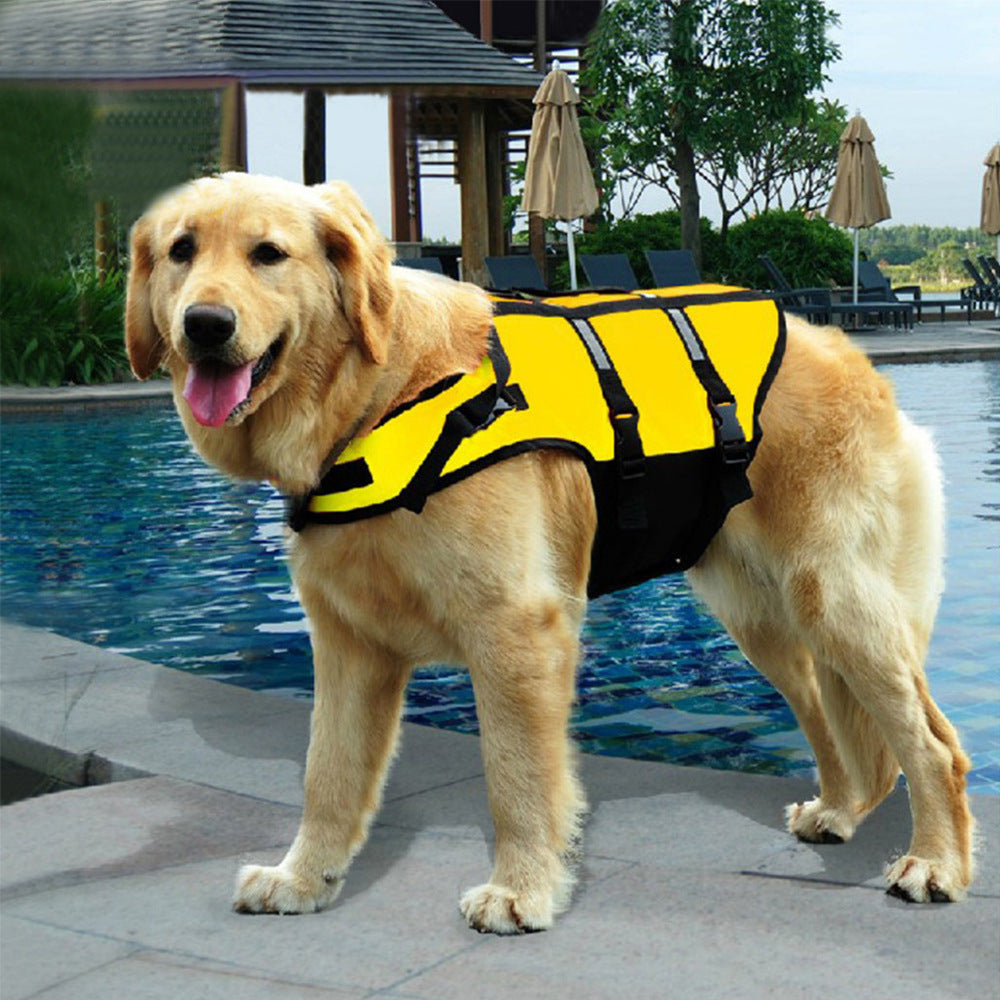 A dog needs a reflective life jacket to ensure their safety while swimming in open waters, such as the beach or lake, and even in a swimming pool. The reflective material helps improve visibility and increases their chances of being seen by boaters. The life jacket also provides added buoyancy to support the dog in the water and prevents fatigue.