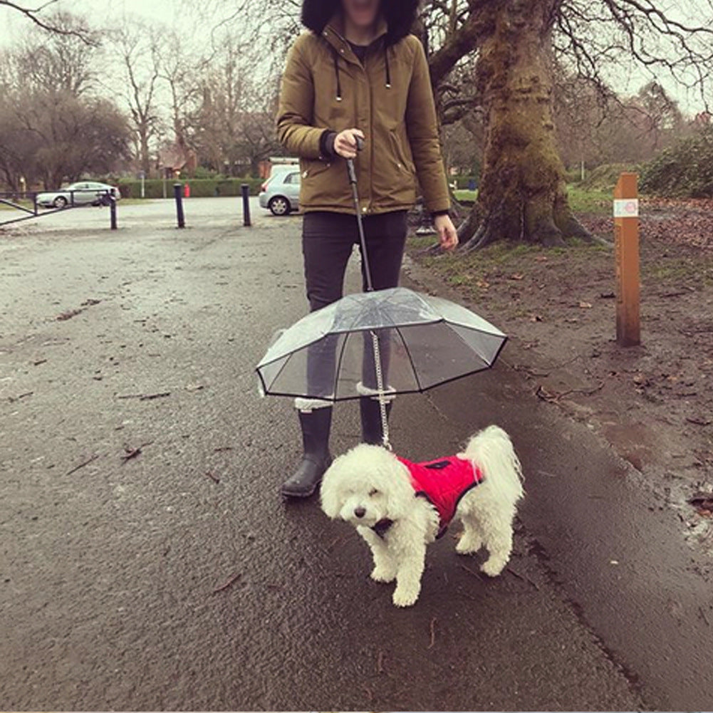 A dog umbrella is a unique accessory designed to protect a pet from the rain while out on walks. It is essentially an umbrella with a handle that the pet owner holds over the dog while walking. Dog umbrellas provide an extra layer of protection for dogs who are sensitive to the rain or have medical conditions that require them to stay dry. It's a creative solution for pet owners who want to ensure their furry friend stays comfortable and dry during rainy walks.