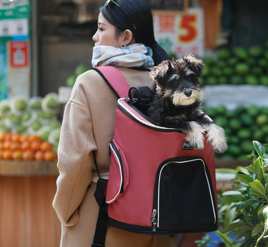 Carrying a dog in a backpack is a convenient way to transport a small or medium-sized dog on hikes, trips, or errands. This dog backpack is designed with the comfort and safety of your dog in mind, featuring adjustable straps, padded interiors, and breathable mesh panels. Carrying a dog in a backpack can help to reduce fatigue, keep your hands free, and provide a safe and comfortable place for the dog to rest while on the go.