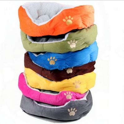 Colorful Small Dog Beds