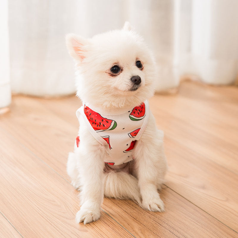 Our Summertime Fun Watermelon T-shirt for dogs is a fun and unique way to dress up your furry friend. Made of soft and breathable material, it's comfortable for your dog to wear and easy to put on and take off. The shirt features a playful watermelon print, perfect for summertime outings, and comes in different sizes to fit dogs of various breeds.