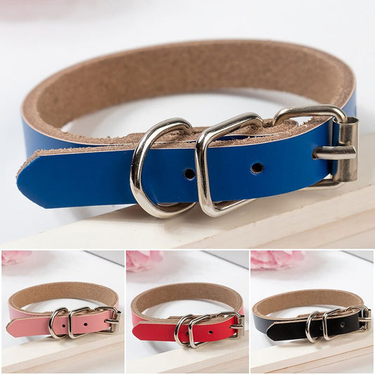 Leather dog collars are a classic and durable option for pet owners looking for a high-quality collar for their dog. Made of real leather, these collars are soft and comfortable for dogs to wear, and they can be personalized with engraved tags, making them a stylish and functional choice.