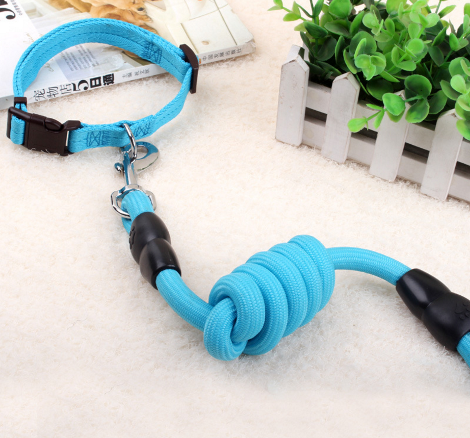 This dog collar, harness, and leash set is a convenient combo of pet necessities that ensures pet owners have everything they need to safely and comfortably walk their dog. These sets come in a variety of colors and three options are available: collar and leash, harness and leash, and collar, harness, and leash.