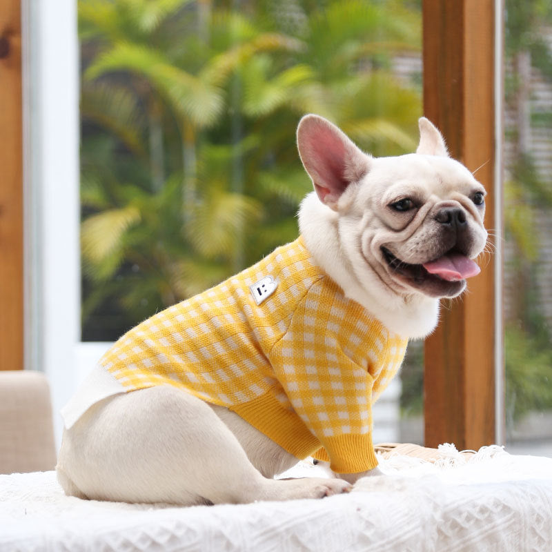 Pastel colored dog sweaters can add a pop of color to your dog's wardrobe and are perfect for special occasions, photo shoots, and everyday wear. These sweaters are made from soft wool and come in a range of pastel shades including pink, yellow, and green. 